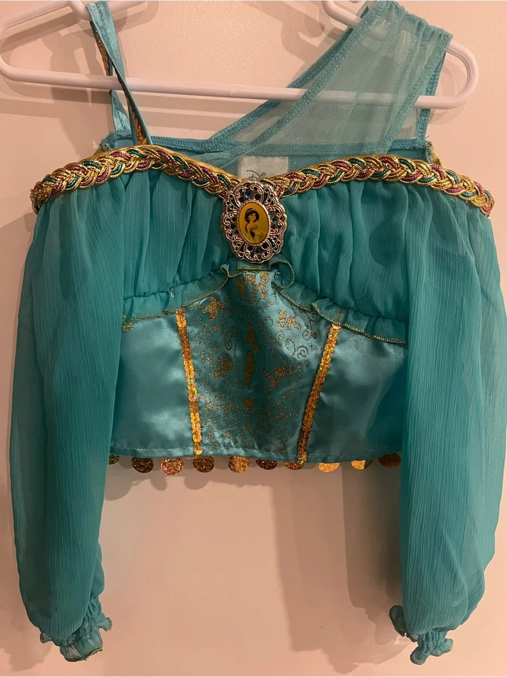 Princess Jasmine Costume, Teal Gold-Trim Crop Top and Pants, Disney